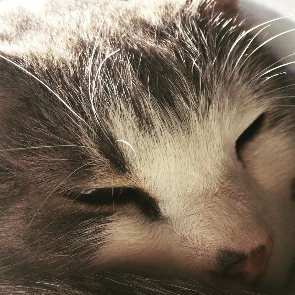 Meet your Posher, Raneil